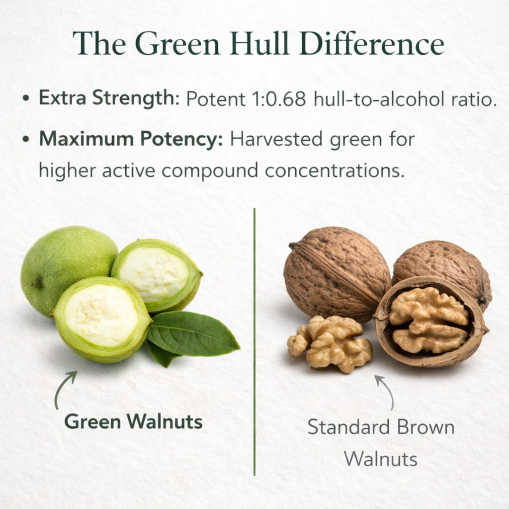 Original Green Black Walnut Hull Tincture (Extra Strength) by Dr. Hulda Clark, 4 oz