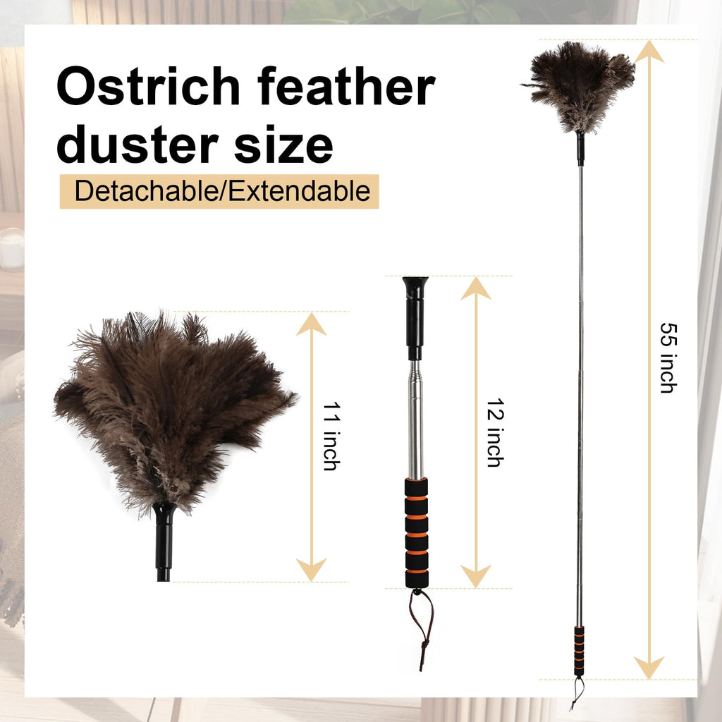 Extendable Ostrich Feather Duster 26-55 Inch, Natural Cleaning Duster with Sponge Grip and Stainless Steel Extension Pole Reusable for High Ceilings, Fans, Blinds, Furniture, Interior & Roof Dusting.