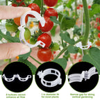 HFXXAD 60Pcs Tomato Hooks with String, Tomato Support Hooks, Tomato Holder Hooks & Plant Support Clips with 33.3ft Twine to Prevent Tomatoes from Pinching or Falling Off