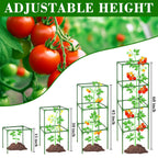 ZeeDix 6 Pack 60 Inch Heavy Duty Tomato Cages for Garden with Clips