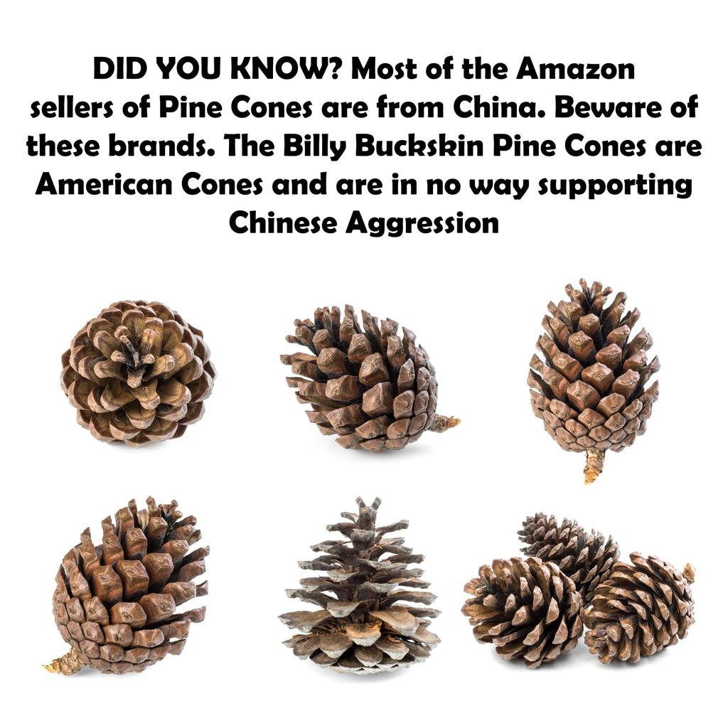 Billy Buckskin 20 Large Natural Pine Cones for Crafts, 3" to 4" Tall