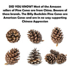 Billy Buckskin 20 Large Natural Pine Cones for Crafts, 3" to 4" Tall