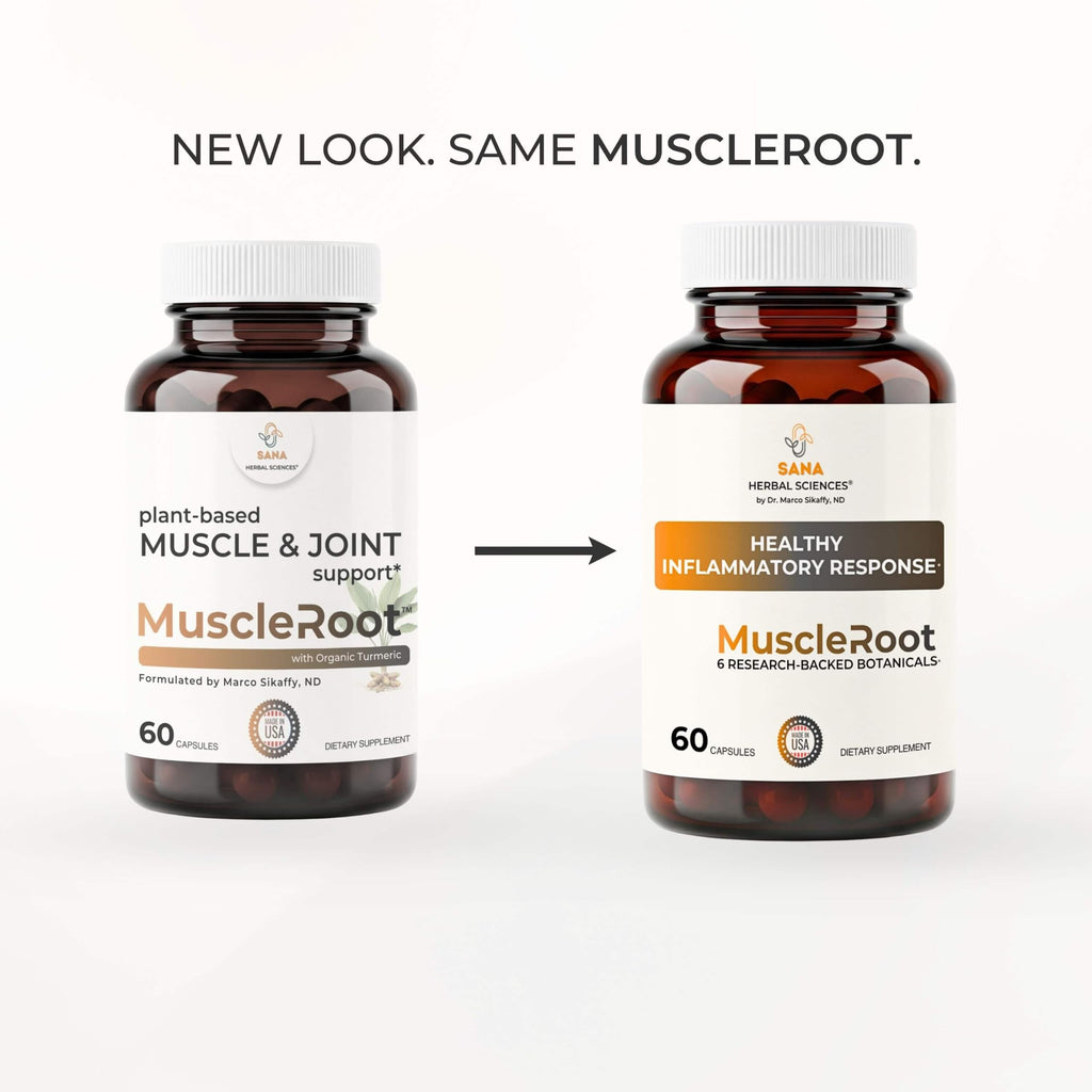 Inflammation Support for Muscle, Joint & Tissue | 6 Botanicals | 60 Caps