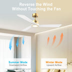 DAMINY Natural Solid Wood White and Gold 52 inch Ceiling Fan with Light,3 Blades,6CCT,Low Profile Ceiling Fan with Light and Remote Control