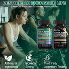 Boysea.Shilajit and Sea Moss Bundle- 90 Count - Sea Moss, Black Seed Oil, Ashwagandha, Ginger & Shilajit, Rhodiola Rosea, All in 1 Supplements (2 Pc)