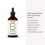 BioPure Cryptolepis Herbal Tincture | Potent Botanical Extract of Cryptolepis Sanguinolenta for Immune Support and Microbiome Balance - 4 fl oz