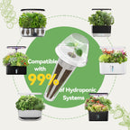 Inbloom 7-Pods Salad Greens Seed Pod Kit for AeroGarden, Ahopegarden, Gardencube Hydroponic Garden with Spinach, Buttercrunch, Paris & American Lettuce, Swiss Chard, Arugula, Bok Choy - 350 Seeds