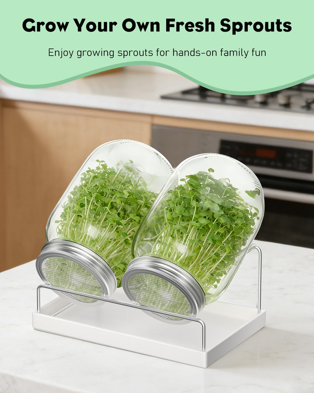 Pawfly Sprouting Kit, Wide Mouth 1 Quart (1000 mL) Mason Jars