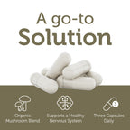Zahler AdultFocus, Advanced Formula to Support Focus and Concentration, Certified Kosher, 60 Capsules