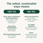 HealthyBaby Our Wet Wipes | EWG Verified Safe | 100% Water & Plant Based | Unscented & Safe for Sensitive Skin | Fragrance Free and Totally Chlorine Free (8 packs, 512 wipes)