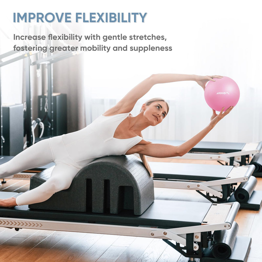 APEXUP Yoga Ball Exercise Ball, Heavy Duty Pilates Ball for Fitness, Balance, Core Workout, Physical Therapy (XXS (9") 23cm, Fuschia)