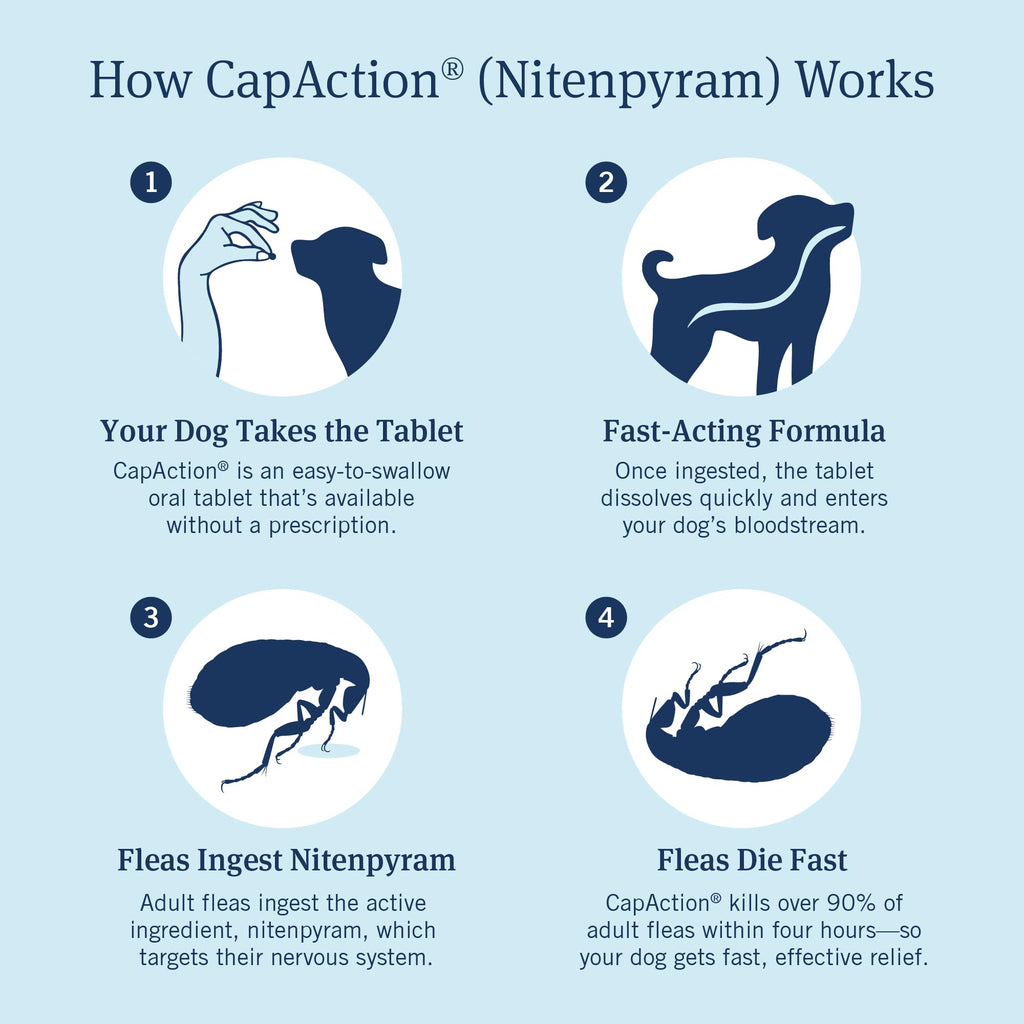 PetArmor CAPACTION Oral Flea Tablets Dogs 2-25 lbs, Nitenpyram, 6-Dose