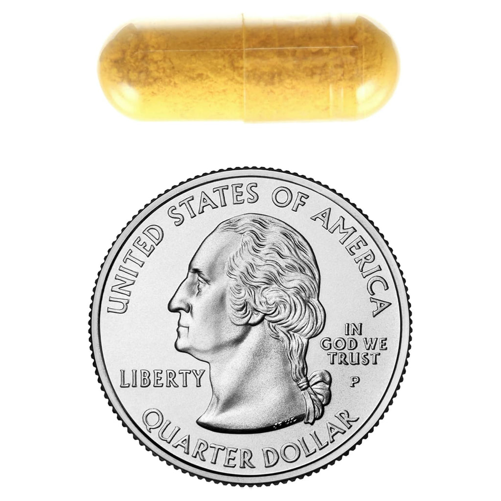 Berberine Herbal Supplement, 1200 mg, 40 Vegetarian Capsules, Pack 1