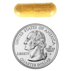 Berberine Herbal Supplement, 1200 mg, 40 Vegetarian Capsules, Pack 1