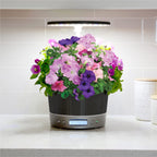AeroGarden Harvest Elite 360, Platinum Stainless