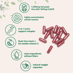 Red Yeast Rice 1,200mg with CoQ10 100mg, 240 Veggie Capsules | 4-in-1 with Flush Free Niacin & Fat Soluble Vitamin C | Cholesterol Support & Heart Health Supplements | Filler Free, Non-GMO, No Gluten