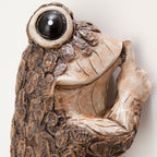 Bits and Pieces Keep Quiet Frog Tree Peeker - Adorable Tree Sculpture - Garden Decoration - Yard Art