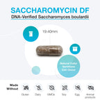 XYMOGEN Saccharomycin 10B - Gut Flora & Digestive Immune Support - 50 mg Saccharomyces Boulardii Probiotic - Stomach Acid-Resistant - Vegan & Dairy Free - 60 Capsules
