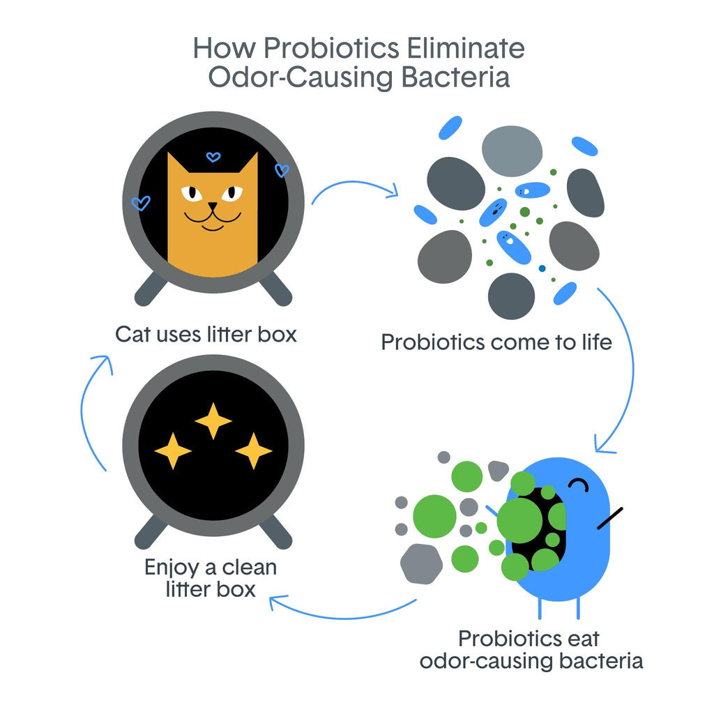 BoxiePro Bot Probiotic Cat Litter Automatic Box 40+ Day Odor Control 16 lb