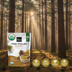 INCAS 100% USDA Organic Pine Pollen Powder (6 Ounces) Non GMO Verified 99% Cracked Cell Wall, Wild HARVESTED, Non-Irradiated, Boosts Energy & Immune Support, No Fillers or Additives