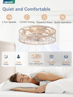 LEDIARY Caged Ceiling Fan with Light, Flush Mount Fandalier with Remote