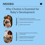 Needed. Prenatal Choline+ Liquid Capsules for Cognitive Development - Choline Supplements For Pregnancy - Aids Baby Brain Development & Supports Healthy Pregnancy - Third Party Tested - 30 Liquid Caps