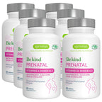 Igennus Methylated Prenatal Multivitamin for Women, Folate for MTHFR, High Absorption, Pure & Clean, Gentle Iron, Choline, Calcium & Magnesium, Vegan Pregnancy Vitamins, Halal, Non-GMO, 60 Tablets x 6