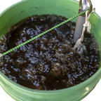Worm Brew - Compost Tea & Worm Casting Tea Brewer - 5 Gallon Bucket Aerator (Pump Included) D10