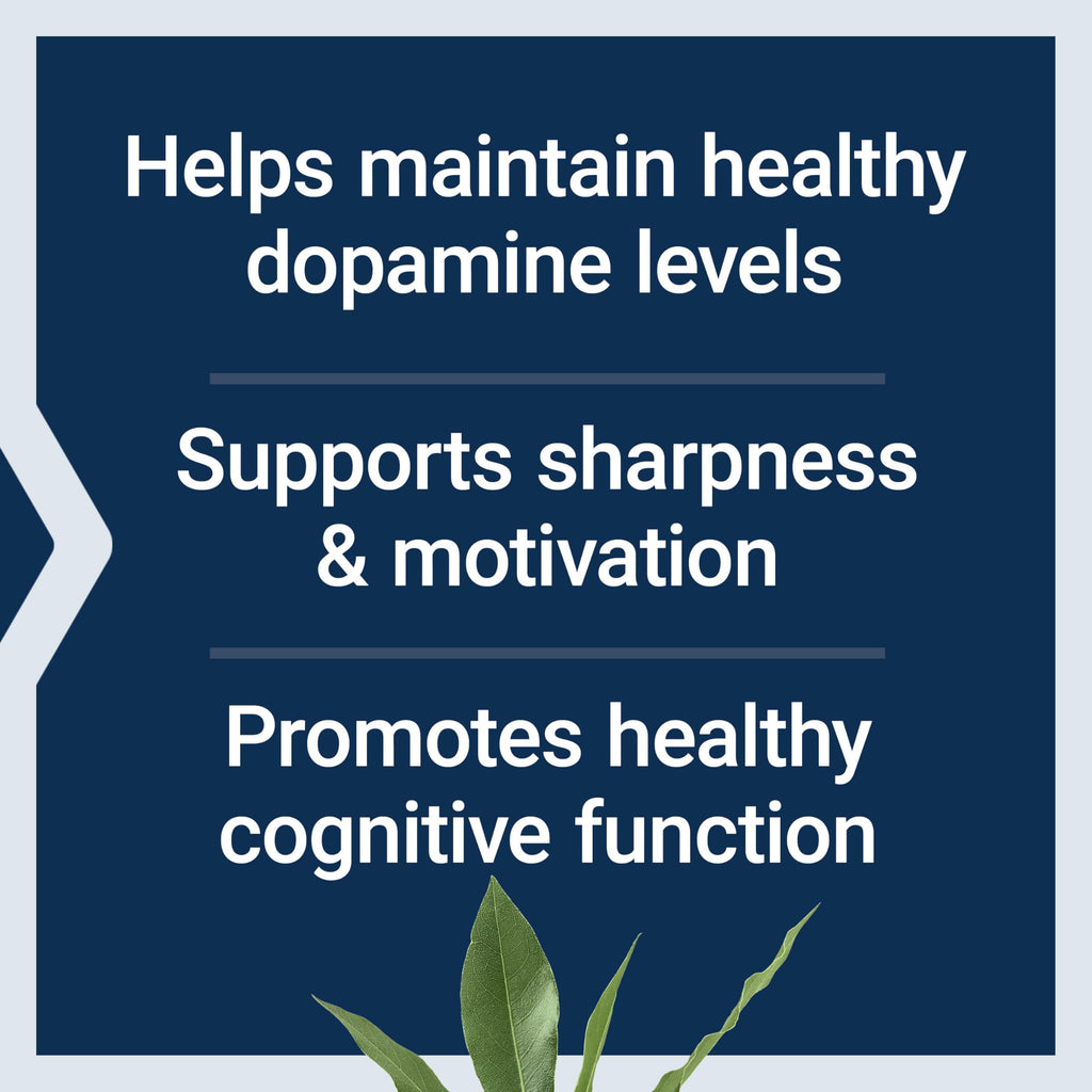 Life Extension Dopamine Advantage, Cognitive Health, Mental Sharpness, Motivation, Vitamin B12, phellodendron bark Powder, Gluten Free, Non-GMO, Vegetarian, 30 Capsules,(Pack of 2)
