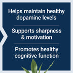 Life Extension Dopamine Advantage, Cognitive Health, Mental Sharpness, Motivation, Vitamin B12, phellodendron bark Powder, Gluten Free, Non-GMO, Vegetarian, 30 Capsules,(Pack of 2)