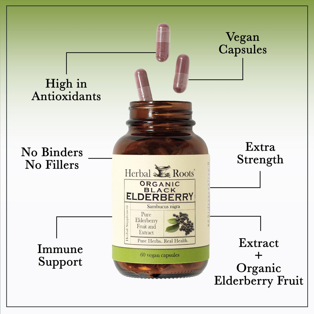 Herbal Roots Organic Black Elderberry Capsules | Max Strength | Made with Organic Sambucus | 60 Vegan Capsules (Pack of 2)