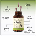 Herbal Roots Organic Black Elderberry Capsules | Max Strength | Made with Organic Sambucus | 60 Vegan Capsules (Pack of 2)