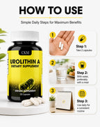 CKM Urolithin A Supplement 1200mg for Men & Women, 120 Capsules