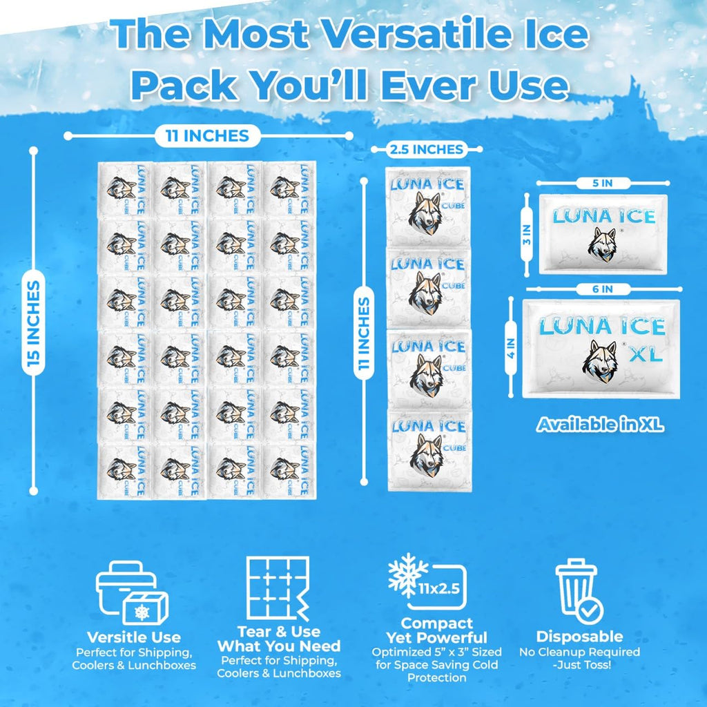 Dry Ice Packs for Shipping Cubes - Long Lasting ice Packs - 24+ Hour Freeze Power - BPA Free - 1200 Pack Bulk 75 lb – Hielo Seco - Reusable Gel Bricks for Food