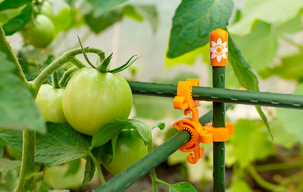 C-BITE Plant Support Clips for Trellis, Garden Stakes, Wire Fence, Climbing Plants, Indoor Gardening, Hydroponics Systems, and Vines | Durable Gardening Clips (Incognito Green - 100 Pack)