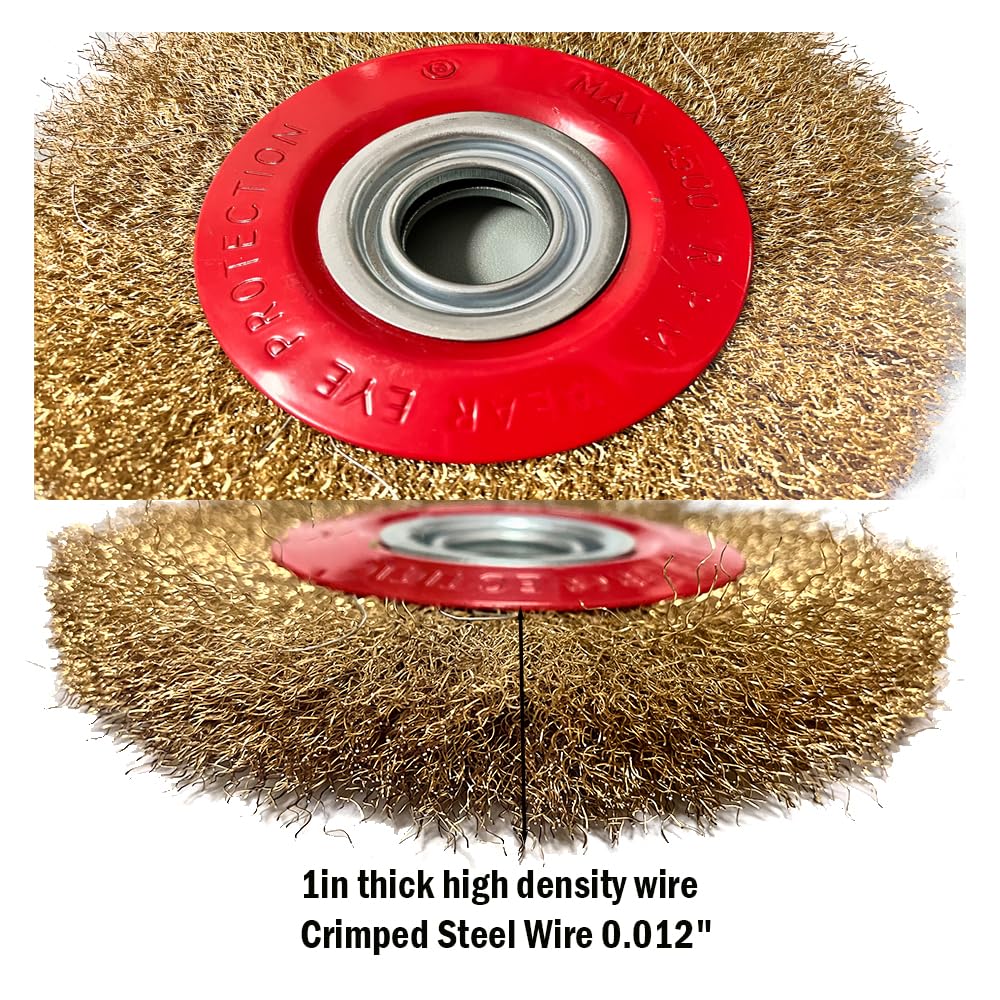 OSFTBVT 8in Bench Wire Wheel Brush | Coarse Crimped Steel Wire 0.012" with 1/2" 5/8" 3/4" 7/8" 1" Arbors for Bench Grinder Brass Coated Steel- 1pcs
