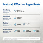 NORTH AMERICAN HERB & SPICE Total Body Purge - 12 fl. oz. - Raw Whole Body Formula - Builds Healthy & Nutritious Diet - Contains Natural Source Phenols, Vitamins, & Minerals - 12 Servings