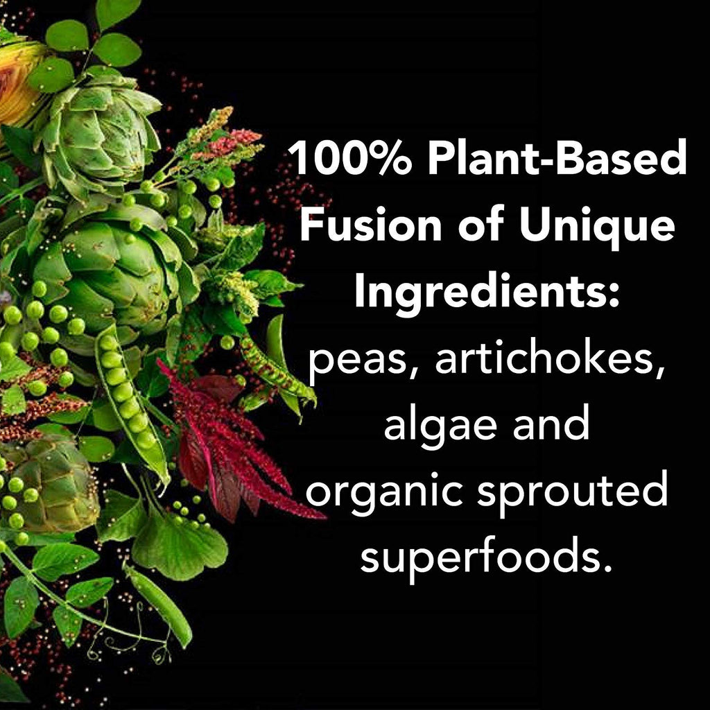 PlantFusion Complete Vegan Protein Powder - Plant Based Protein Powder With BCAAs, Digestive Enzymes and Pea Protein - Keto, Gluten Free, Soy Free, Non-Dairy, No Sugar, Non-GMO - Red Velvet 2 lb