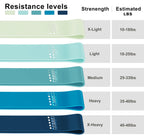 Resistance Loop Exercise Bands, Resistance Bands Exercise Bands for Home Fitness, Stretching, Strength Training, Physical Therapy,Elastic Workout Bands for Women Men Kids, Set of 5 (Blue)