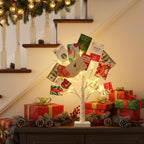 EAMBRITE Money Tree Gift Holder, Lighted Birch Tree 2FT 24LED, Battery/USB Powered Timer Light Up Display Twig Gift Card Tree with 12 Clear Clips and 6 Cards for Home Christmas Graduation Photo Memo