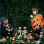 6PCS Skeleton Halloween Decorations, 16in Full Body Poseable Small Skeleton