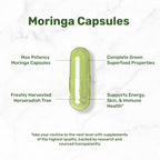 Moringa Capsules 240 Capsules – 4 Month Supply – Maximum Potency Pure Moringa Leaf Extract – Complete Green Superfood Supplement for Energy, Skin & Immune Health Support*
