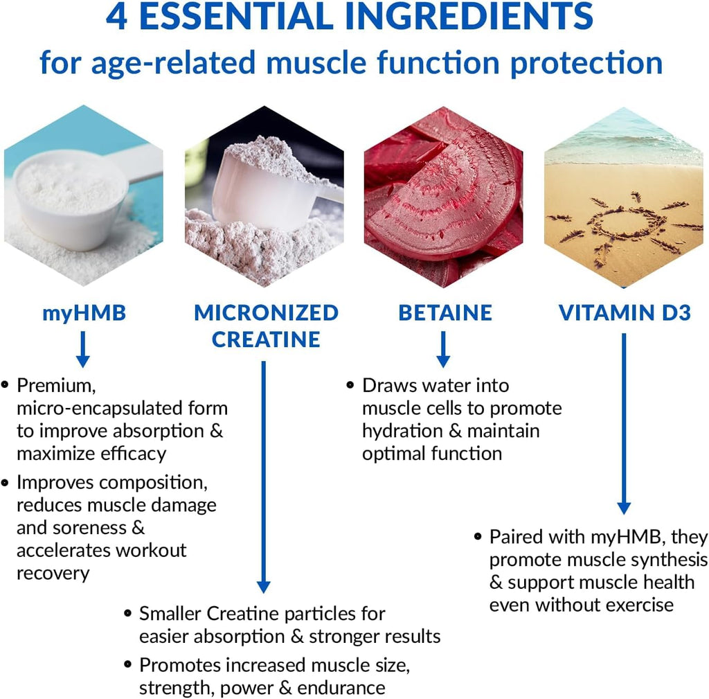 BioTrust Ageless Muscle Builder - Creatine HMB Powder with Vitamin D3 & Betaine - Build & Preserve Naturally Declining Muscle Mass & Strength - Fruit Punch, 60 Servings