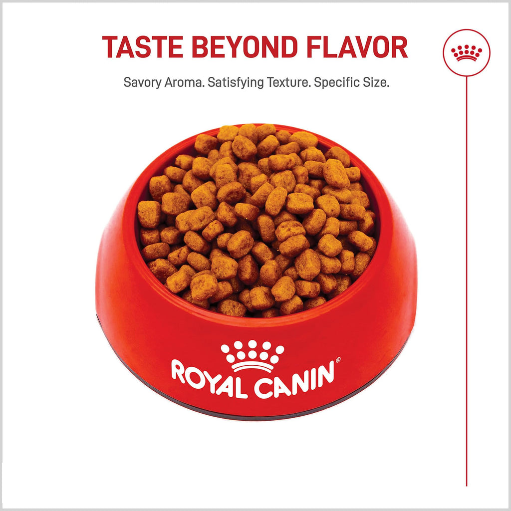 ROYAL CANIN Yorkshire Terrier Adult Dry Dog Food, 2.5 lb Bag