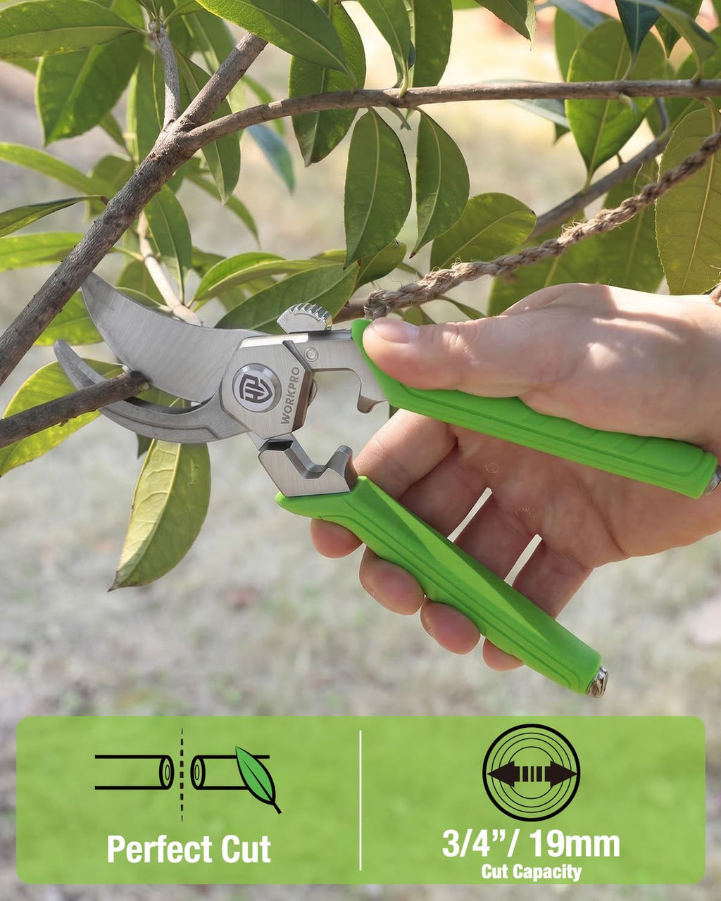 WORKPRO 8.5" Bypass Pruning Shears, Professional Forged Garden Shears