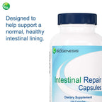 Nutra Biogenesis Intestinal Repair Capsules - Herbal Gut Health Supplement for Women & Men with Sodium Butyrate, Daily - 120 Capsules
