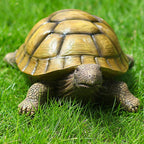 Turtle Garden Statue,Outdoor Figurine,Indoor Tortoise Sculpture Colloction