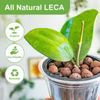 Pulovin 15 lbs LECA Clay Pebbles for Plants, 4-16mm LECA Balls for Indoor Plants Drainage, Hydroponics, Aquaponics, Natural Clay Balls for Soil Root Development, Orchid Potting Mix