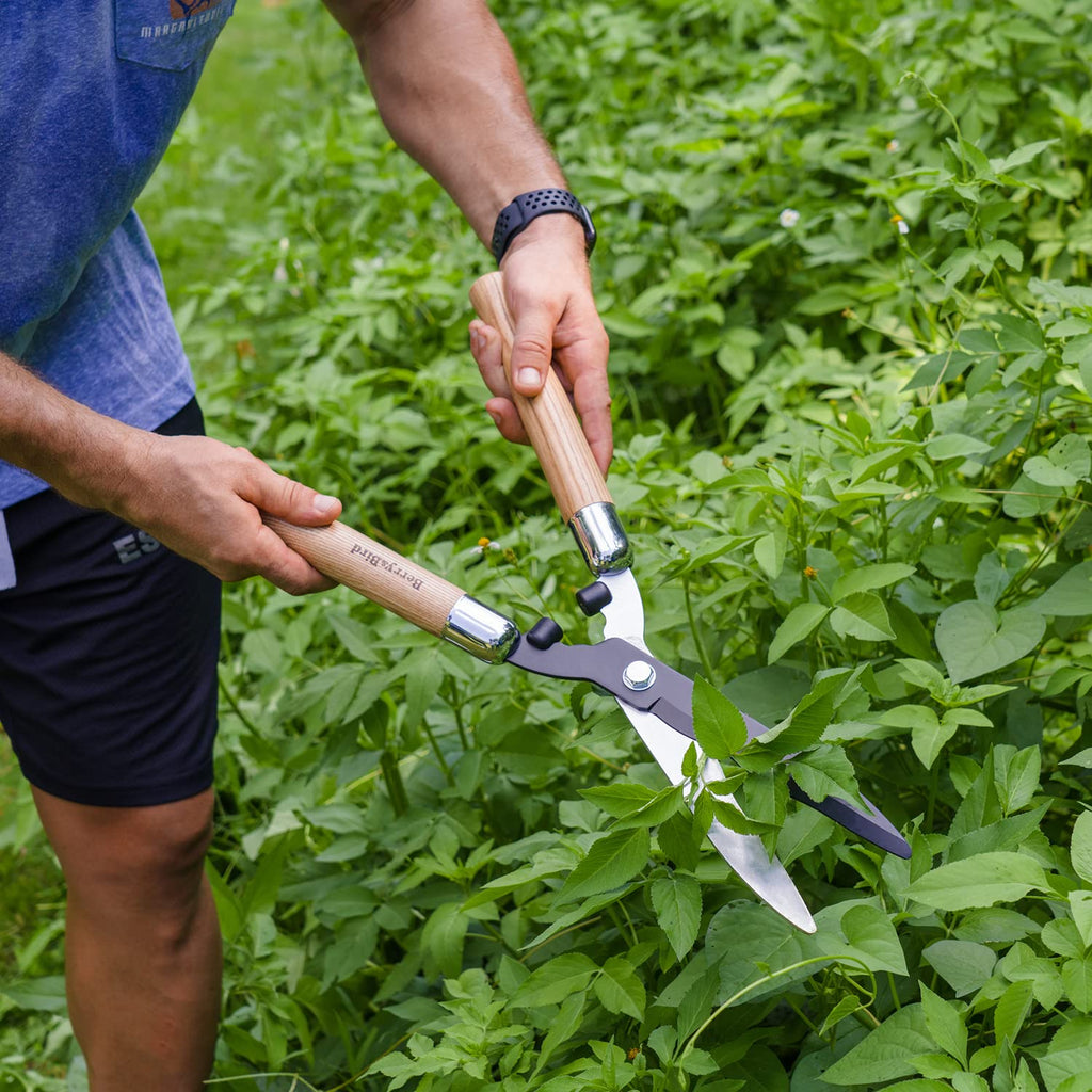 Berry&Bird Garden Hedge Shears,19.88''Heavy Duty Pruning Shear for Trimming Borders and Bushes, Manual Hedge Clippers with Wooden Handles & Carbon Steel Sharp Blades Gardening Scissors