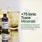 Fulvic Humic Acid 75 + Trace Minerals Liquid Supplement - Plant Derived in USA - Fulvic Acid Minerals Concentrate for Energy, Gut Health and Hydration- 1 gram per Serving - 2 oz.
